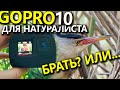 ОПЫТ использования GoPro 10 для съемки природы