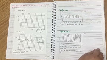 OpenSciEd Notebook Example