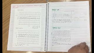 OpenSciEd Notebook Example