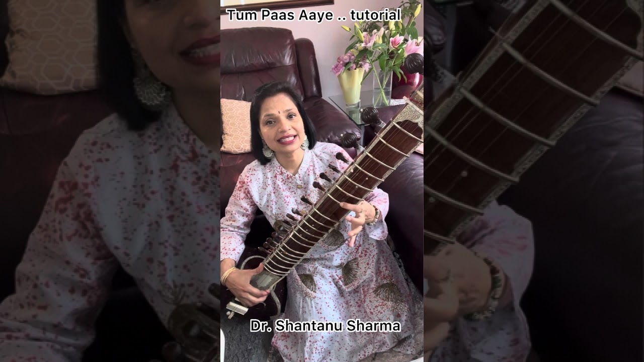 Tum Paas Aaye Yun Muskuraye | Sitar Tutorial with Sargam Notes | Learn Kuchh Kuchh Hota Hai on Sitar