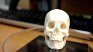Skull 101 real Human skull only for sell to skull and bones secret society members