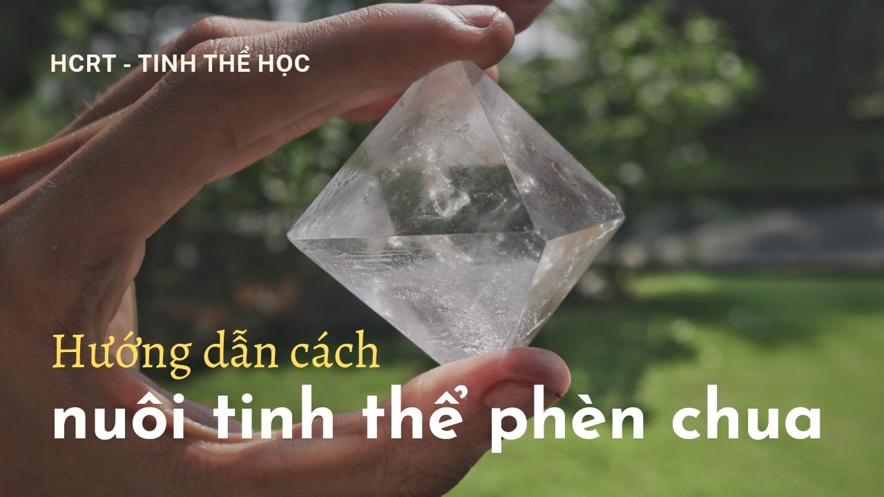 HD #10: Hướng dẫn cách nuôi tinh thể phèn chua (phèn nhôm) tại nhà ...