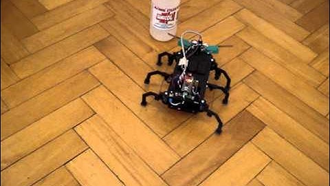 Kitrobot Robot Insecto RI2