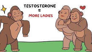 Boost Your Testosterone, Boost Your Dating Game Explained By Ape