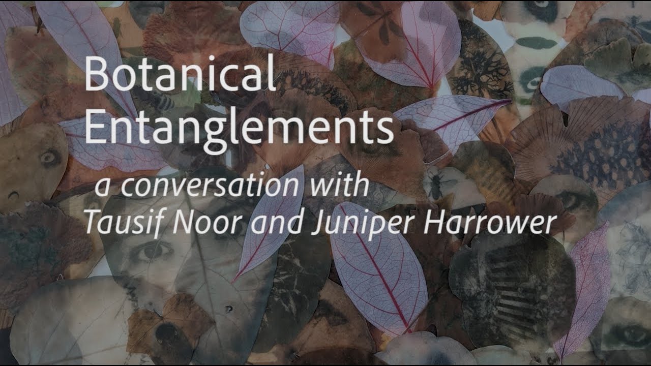 Botanical Entanglements - a conversation with Tausif Noor and Dr. Juniper Harrower