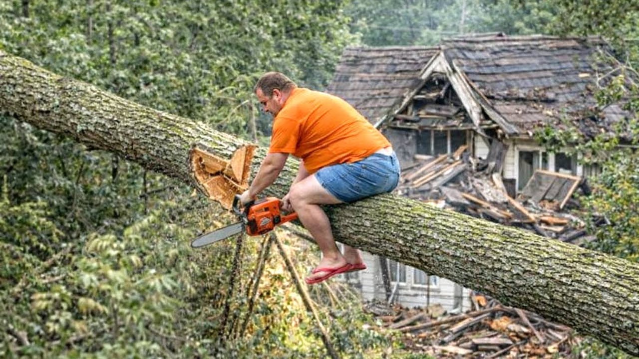 Chainsaw Mistakes Gone Wrong | Brutal Tree Cutting Errors & Dangerous Logging Truck Disasters
