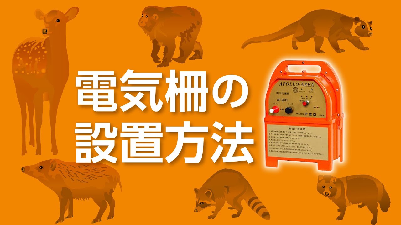 電気柵の設置方法【誰でも簡単に出来る】
