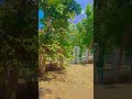 college ballia😍karnai ballia#college #studentlife #students #study #ytshorts#shortvideo#viral#shorts