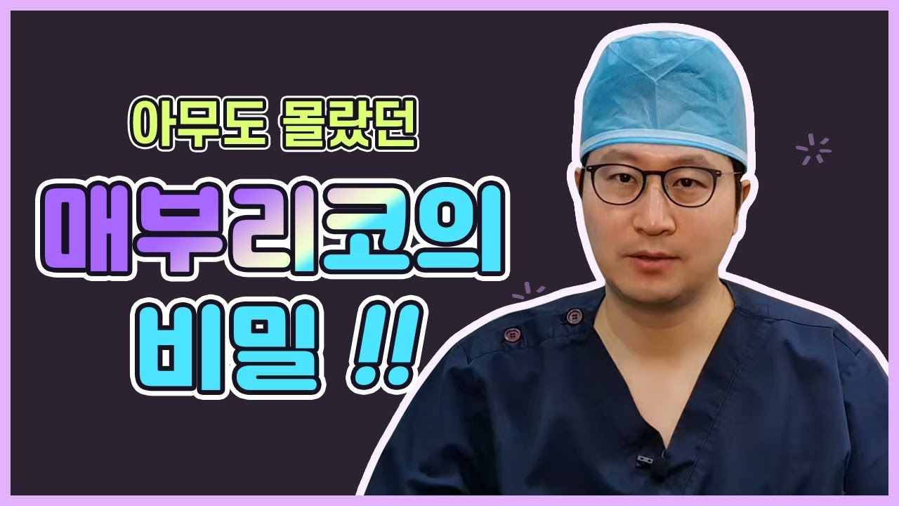 사실 나는 매부리코가 아닐수도 있다면?! / 매부리코/코끝성형/ — 유튜브 영상 썸네일