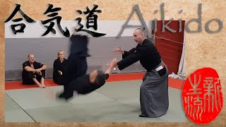 Aikido - Ushiro Katatedori Kubishime - Wrist grab &amp; Arm choke - Defense