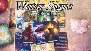 🌊WATER SIGNS🌊 Pisces, Scorpio & Cancer🐚| A Timeless Reading MARCH-April 2026 (With TIMESTAMPS)  🪞🤍🪷✨