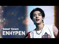 ENHYPEN 엔하이픈 Sweet Venom Cochella 2025 WEEK2