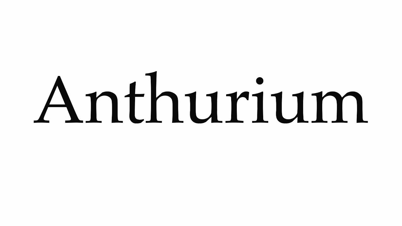 How to Pronounce Anthurium