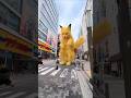 رورو وفيصل شافوا اكبر قطه في العالم Shorts 