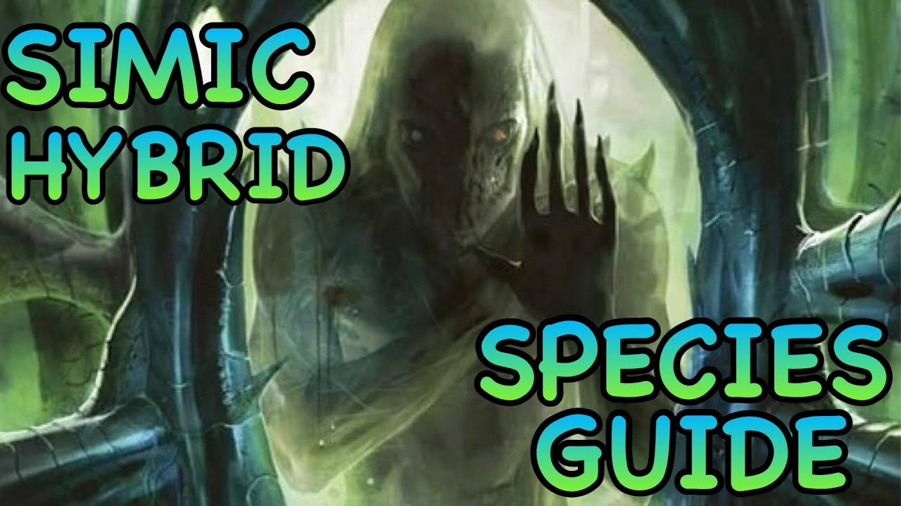 Dandd5e Simic Hybrid Guide Youtube