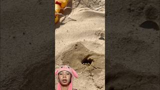 Washed Sand Worms Come Outshorts