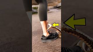 പാമ്പ് കടിയേറ്റാൽ ജീവൻ രക്ഷിക്കാൻ ഇക്കാര്യങ്ങൾ ശ്രദ്ധിക്കൂ!😱 |