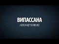 Випассана. Александр Палиенко.