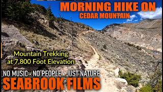 Morning Hike on Cedar Mountain: Mountain Trekking at 7,800 Foot Elevation