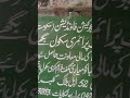 sabri art#(sign board)#calligraphy #art #shorts