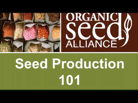 Organic Seed Production 2017 Part 1: Seed Production 101