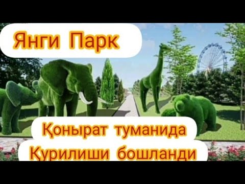 Қонырат Туманида катта ўзгариш.