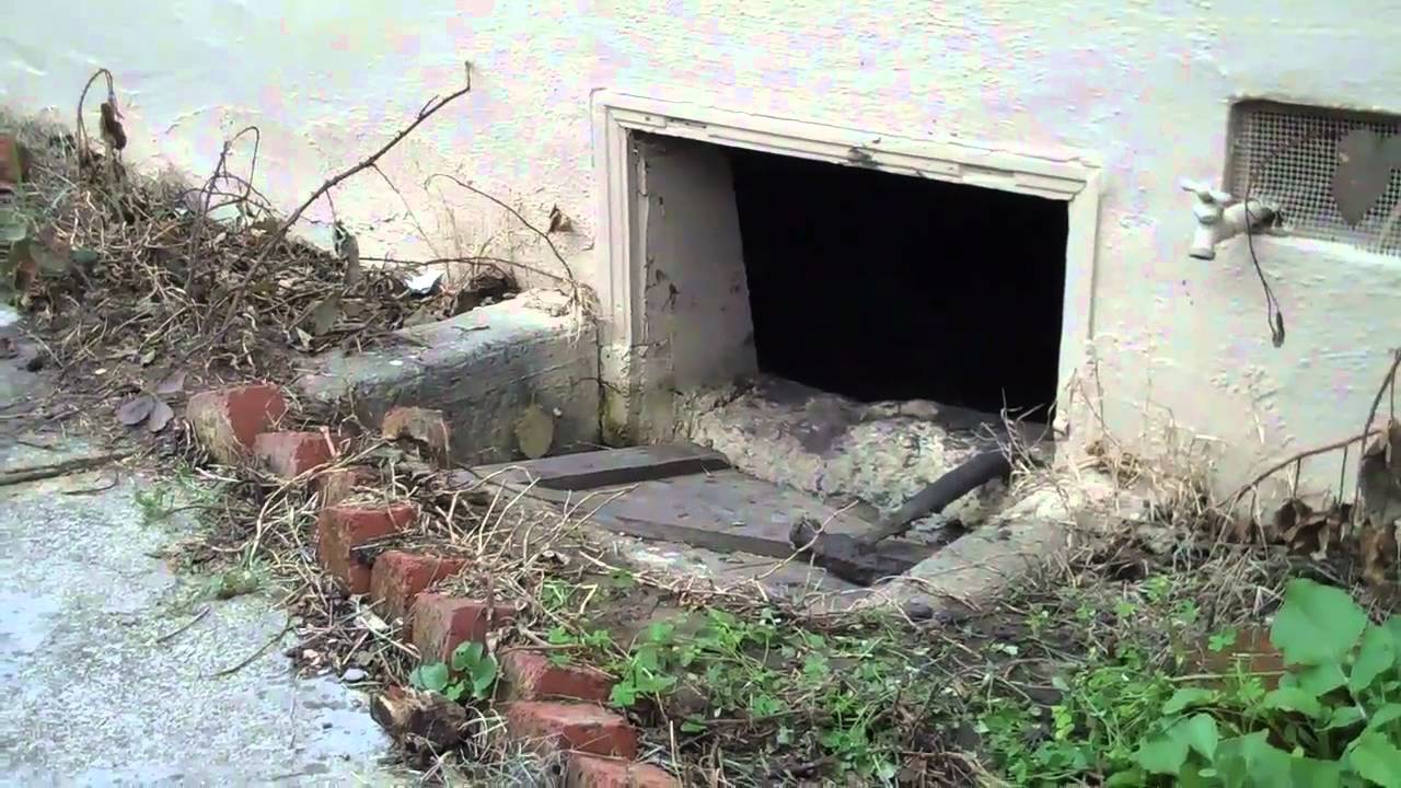 East Valley Termite 2.mp4 - YouTube