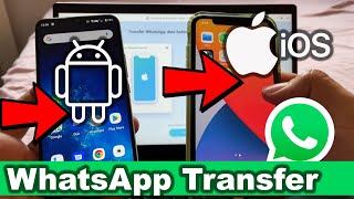 How to Transfer WhatsApp from Android to iPhone iOS using iCareFone screenshot 5