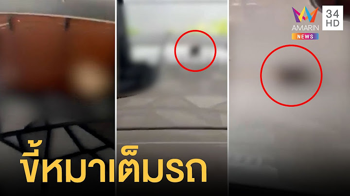 หนุ่มสุดช็อก ตื่นเช้ามาเจอขี้หมาเต็มหน้ารถ BMW ยังไม่รู้ใครทำ | ข่าวเที่ยงอมรินทร์ | 24 พ.ค.65