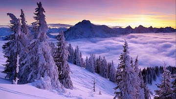 تلاوات خاشعة سورة طه عام 1424 هـ مشارى العفاسى Surat Taha