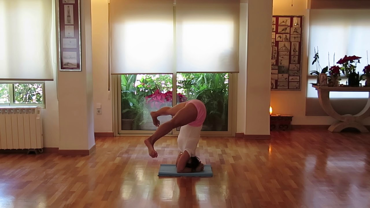 12+ Sirsasana Ii 12+ Sirsasana Ii