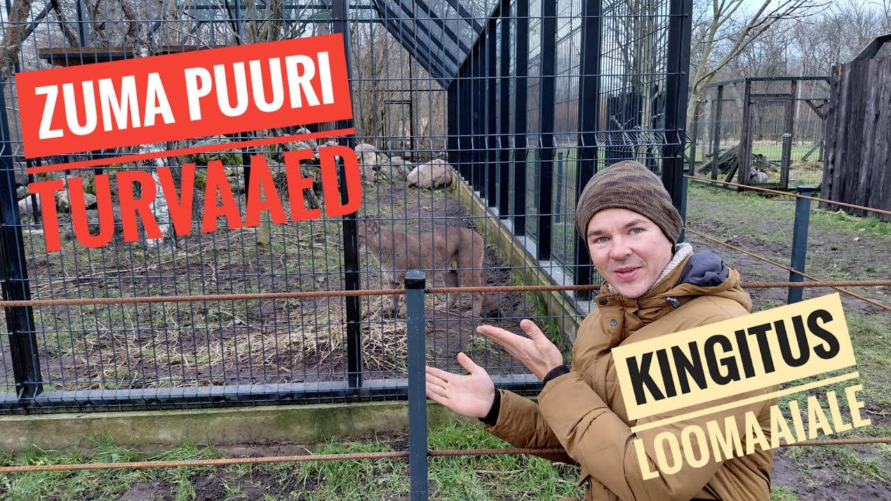 Aed ümber puuma puuri.  Kingitus loomaaiale.