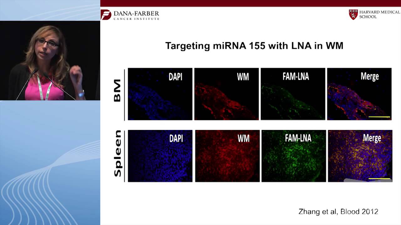 Waldenstrom's macroglobulinemia therapy in the era of novel therapies