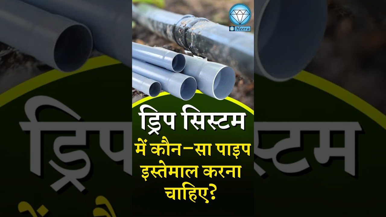 Drip System में कौन सा पाइप इस्तेमाल करें? 