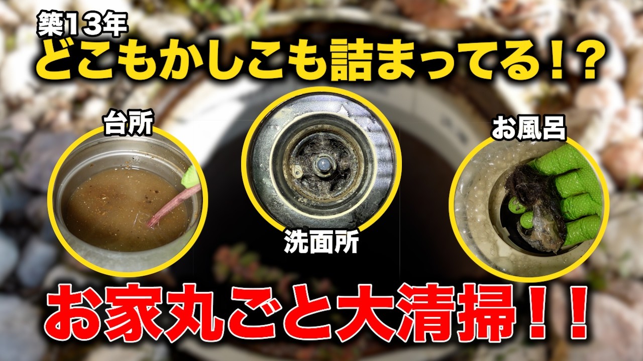 どこもかしこも詰まってる！？台所シンクから見える油！お家丸ごと徹底清掃！！【花のお掃除 #455】