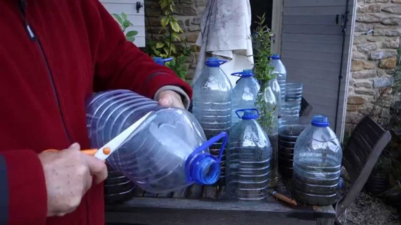 Bouteilles transformées en serres pour plantes avec des lombrics ...