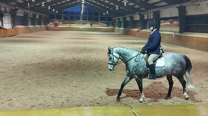 Carl Callahan and Sparka Winning Shake - Class 17 ...