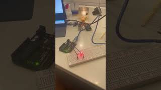 SGD interactions project: #1 Net Worth