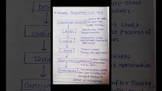 Master the Software Development Life Cycle in Minutes #sdlc #tutorial #shorts