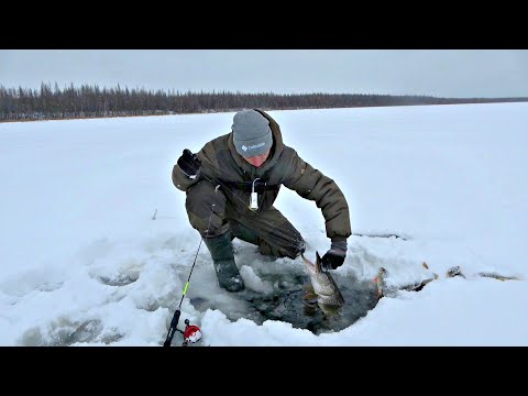 Видео: Первый лёд 2023-2024.