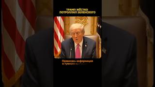 ТРАМП ЖЁСТКО ПОТРОЛЛИЛ ЗЕЛЕНСКОГО
