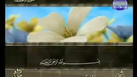 سوره الأحقاف باصدای زیبای سعد الغامدی _ سورەتی الأحقاف بە دەنگی سعد الغامدی