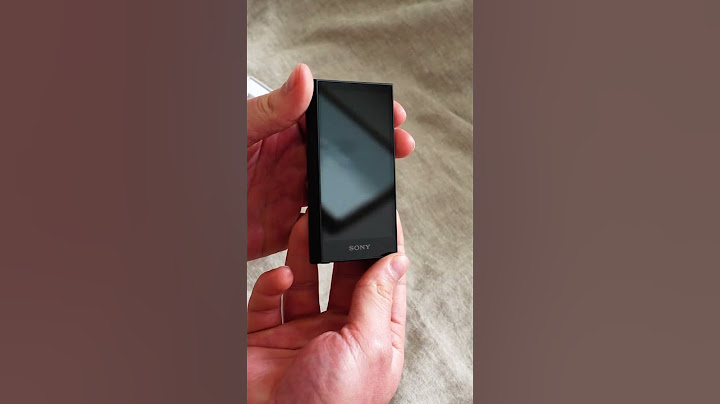 NW-A306 Walkman® A Series