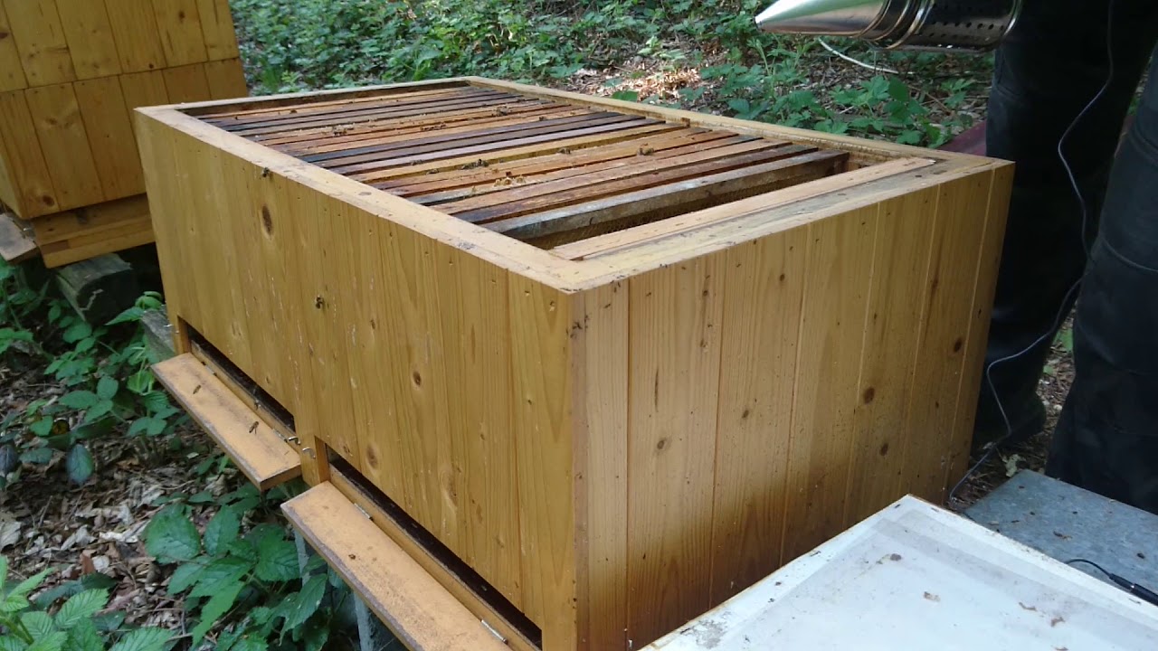 Úl Nový senior 2  díl