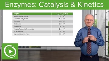 Enzymes: Catalysis, Kinetics & Classification – Biochemistry | Lecturio