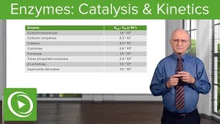 Enzymes: Catalysis, Kinetics & Classification – Biochemistry | Lecturio