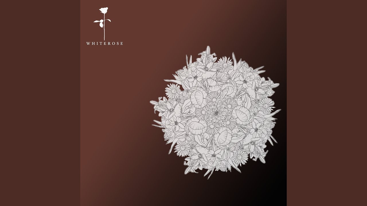 Guarda Come Back su YouTube Guarda Come Back su YouTube