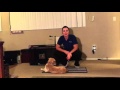 How to Calm Down Your Dog in the Home part 2 How to Calm Down Your Dog in the Home part 2