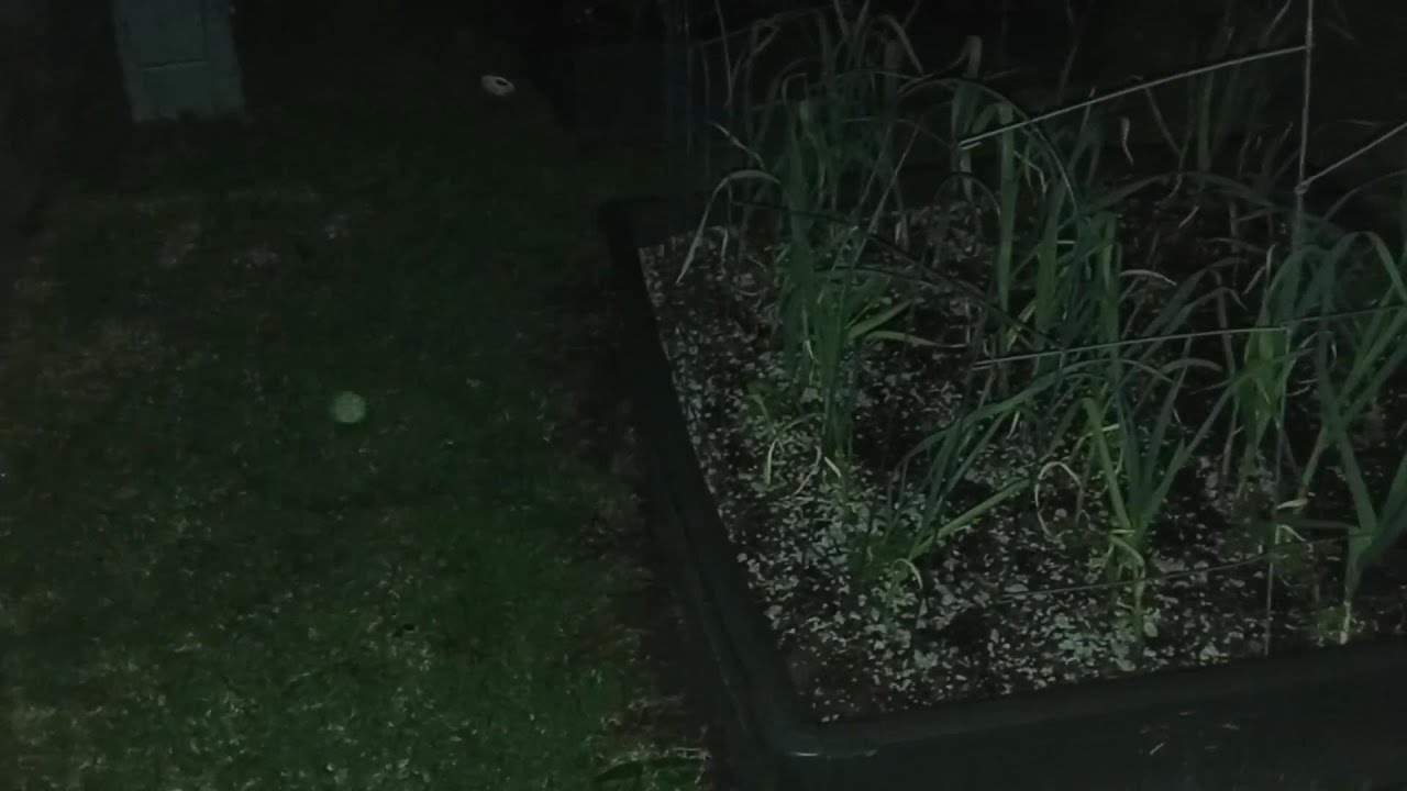 Orb Video #3: Portal in my Home