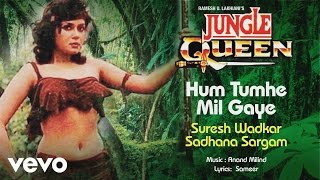 Hum Tumhe Mil Gaye Best Song - Jungle Queen|Suresh Wadkar|Sadhana Sargam|Anand-Milind